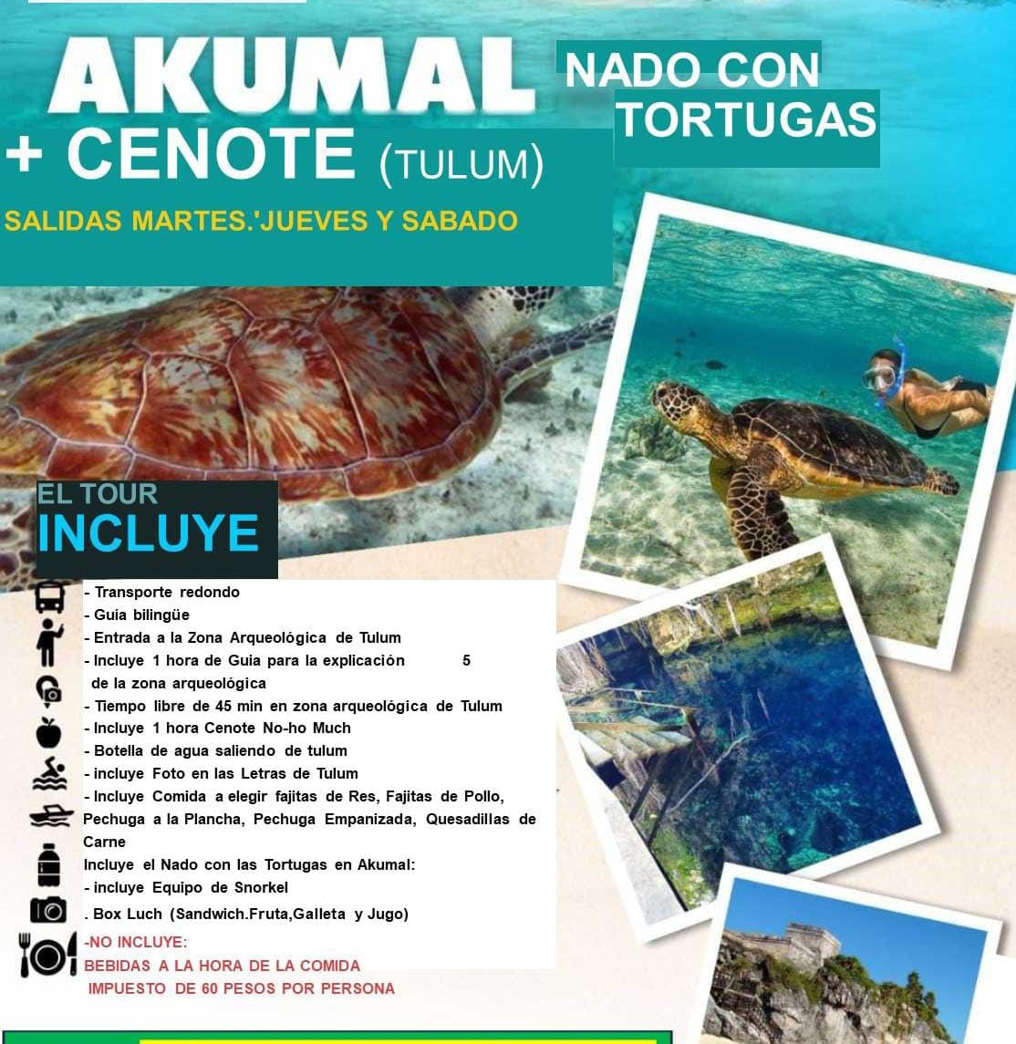 Imagen 1 del tour 8